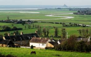해피머니 현금화 방법 포인트 전환 방법 및 수수료