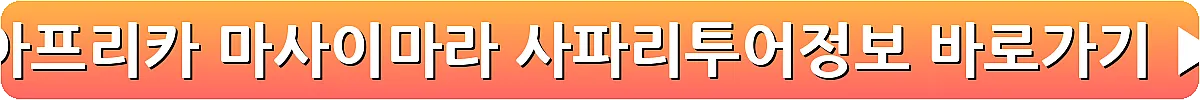 아프리카 마사이마라 사파리투어정보_20