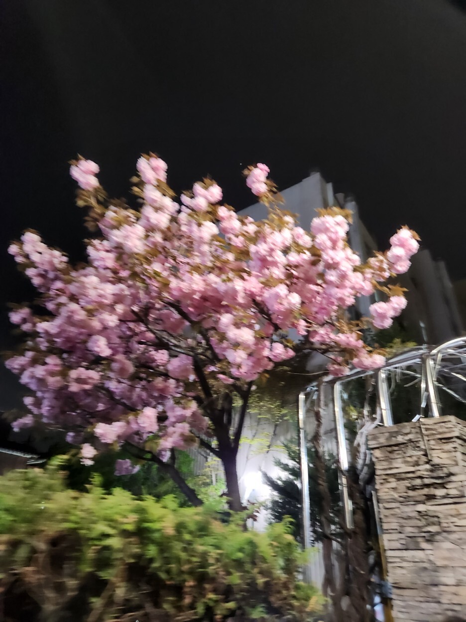 수숯불직화꼬치 이미지