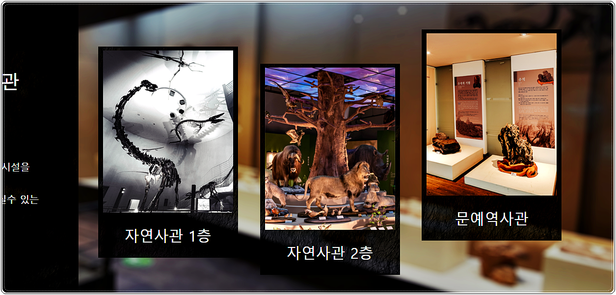  목포자연사박물관 입장료 및 관람시간