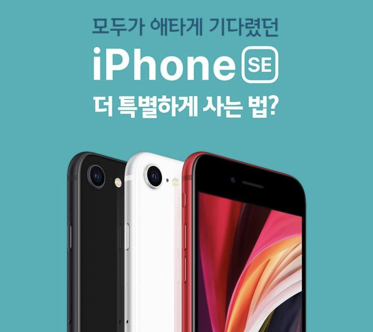  핸드폰 개통조회 바로바로 확인 [SK KT LG]