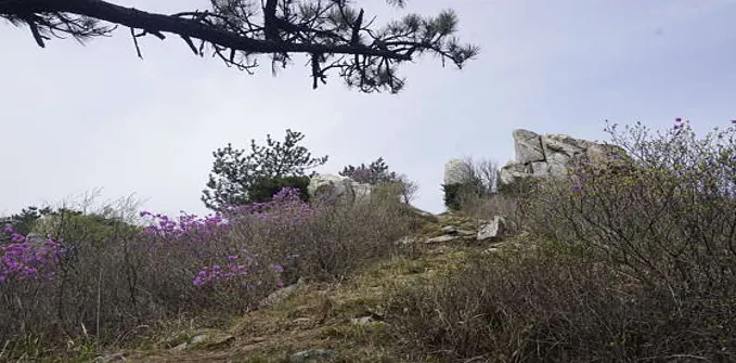 주작산
