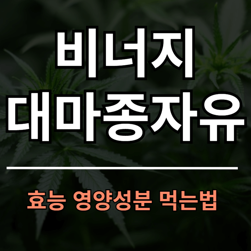 비너지대마종자유 효능 성분 먹는법 부작용