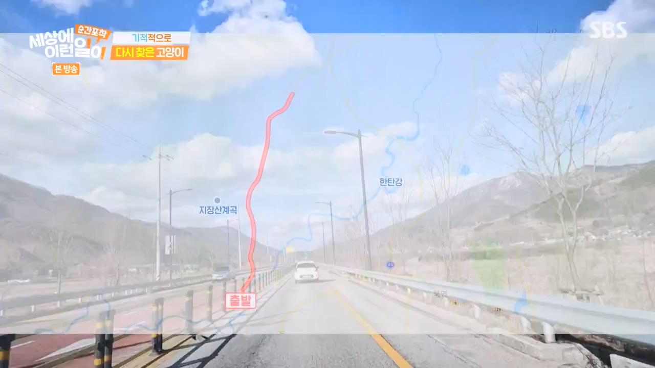 순간포착 세상에 이런일이.E1268.240310p-NEXT.mp4_20240310_132545.648.jpg