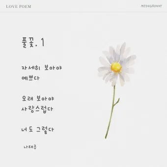 조정래 작가의 풀꽃도 꽃이다 2016 책 소개_9