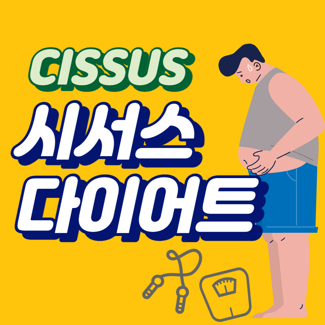 시서스 다이어트 효능 용량 제품 비교 후기