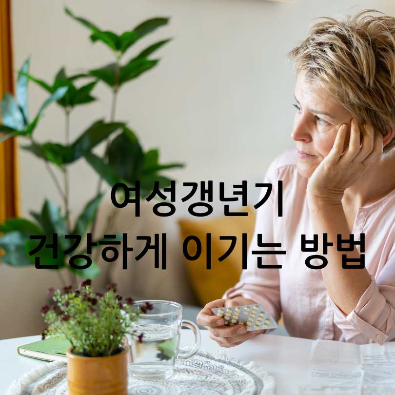 갱년기여성필수영양제