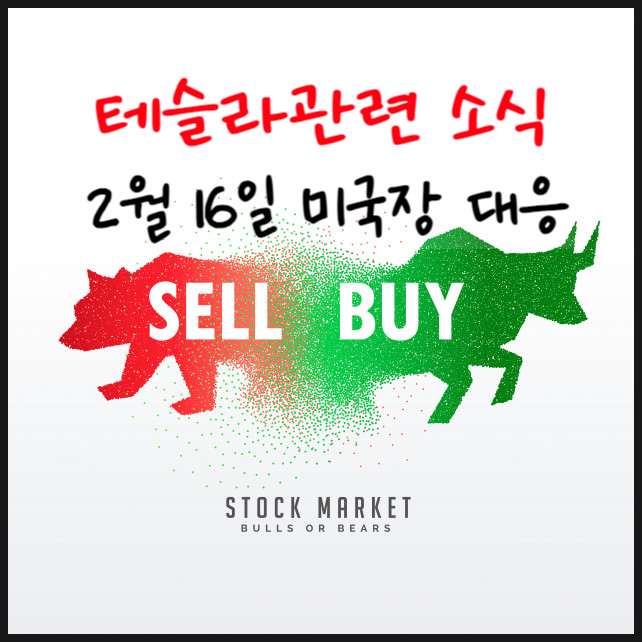  테슬라 소식: 주간 뉴스 및 트위터 내용. 2월16일 대응전략.