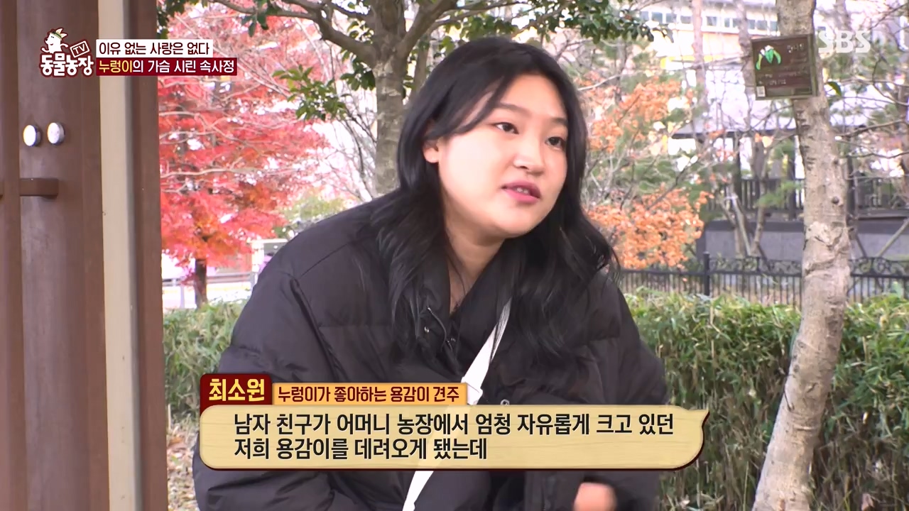 TV 동물농장.E1154.240115p-NEXT.mp4_20240114_184359.383.jpg