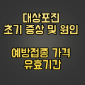  대상포진 초기 증상 및 원인 예방접종 가격 유효기간