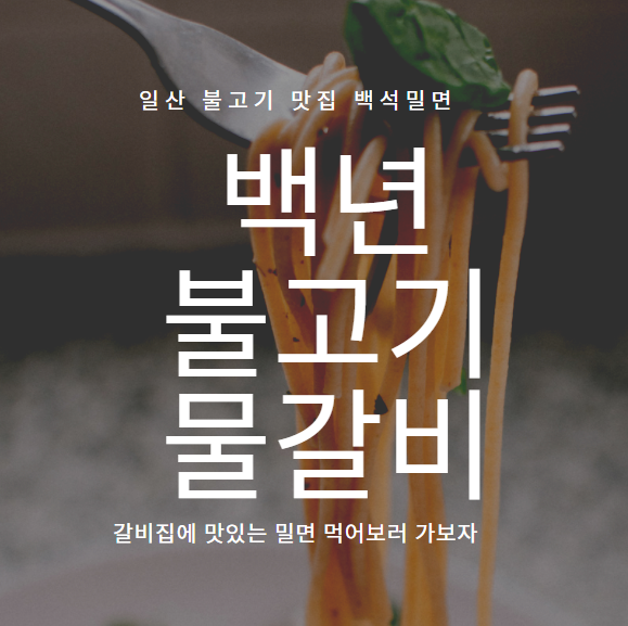  일산 불고기 맛집 백석밀면 『 백년불고기물갈비 백석점 』