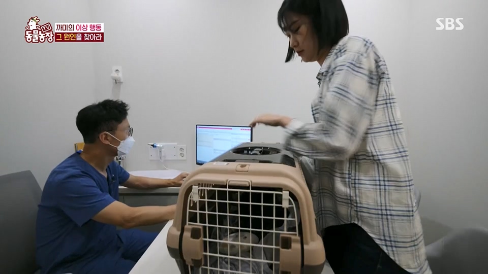 TV 동물농장.E1128.230709p.H264-F1RST.mp4_20230709_183549.681.jpg