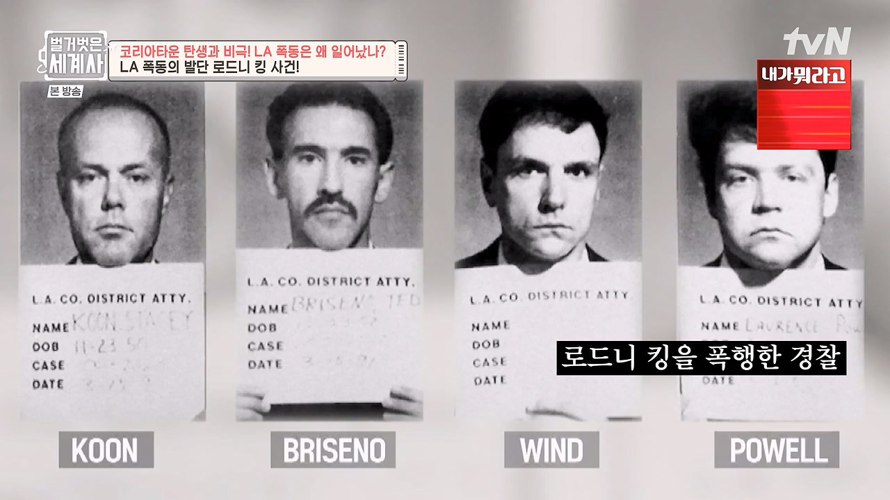 벌거벗은 세계사.E127.231129p-NEXT.mp4_20240608_171246.147.jpg