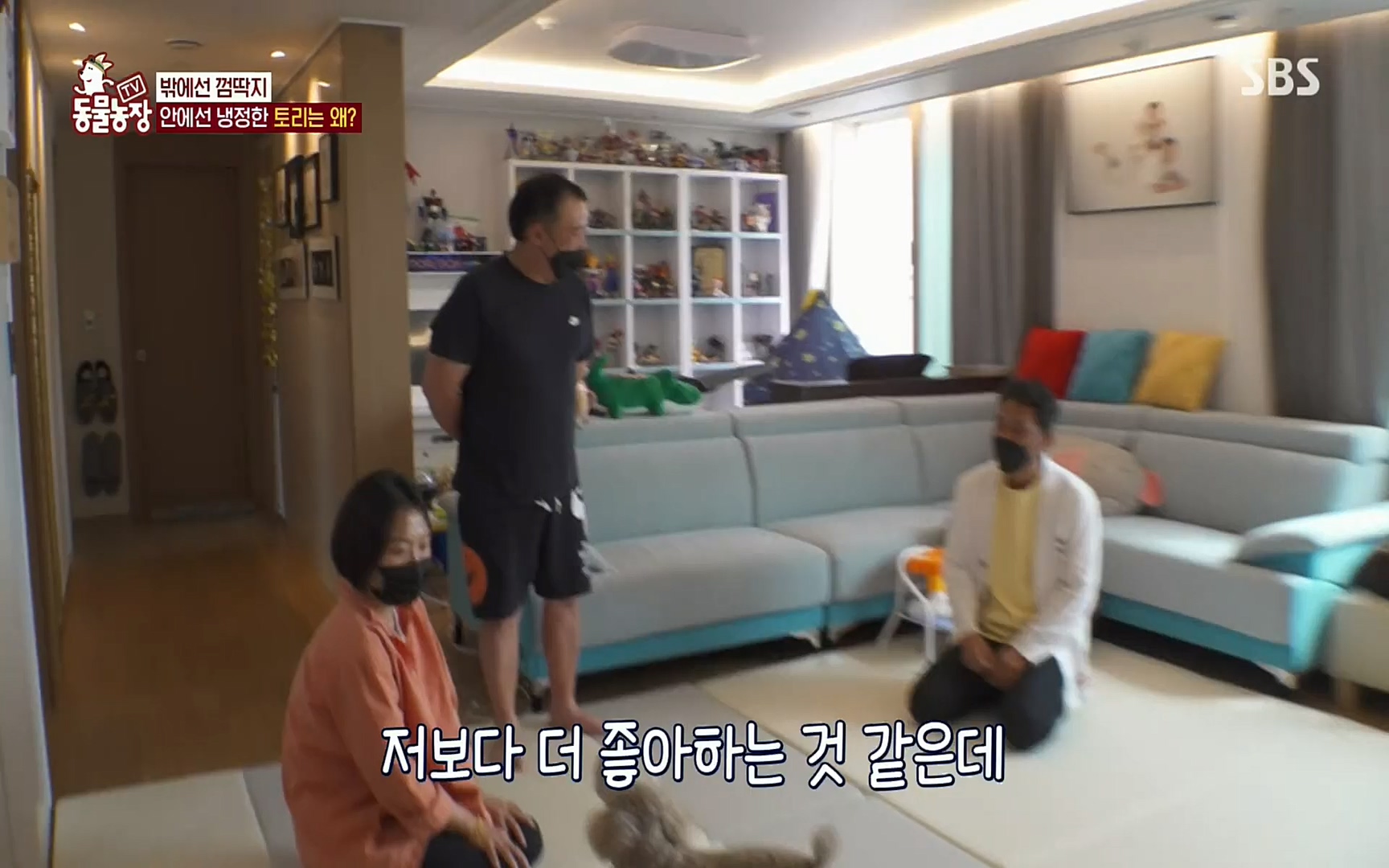 TV 동물농장.E1072.220605p.H264-F1RST.mp4_20220605_181423.728.jpg