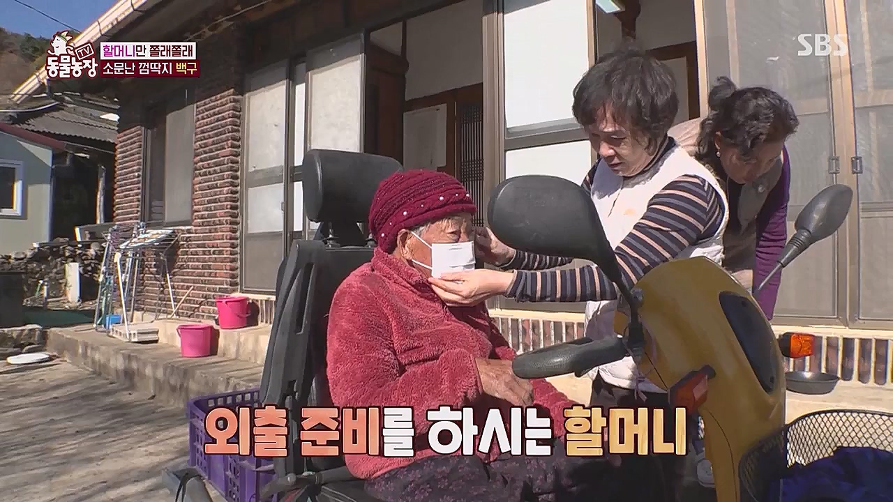 TV 동물농장.E1104.230123p.WANNA.mp4_20230123_195407.132.jpg