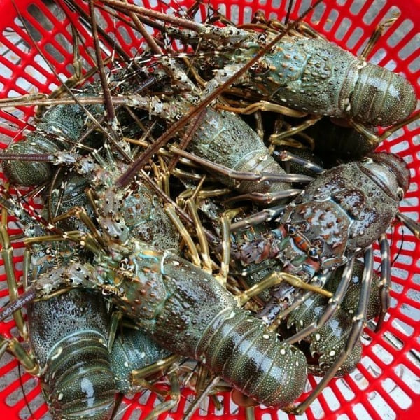 운치 이미지