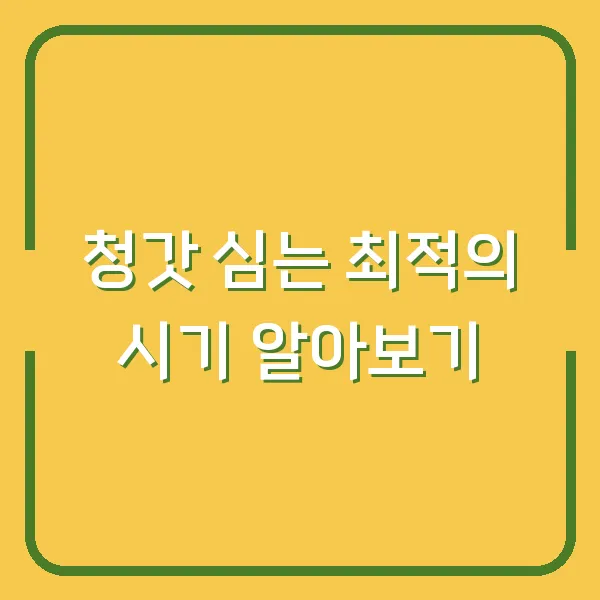 청갓 심는 최적의 시기 알아보기