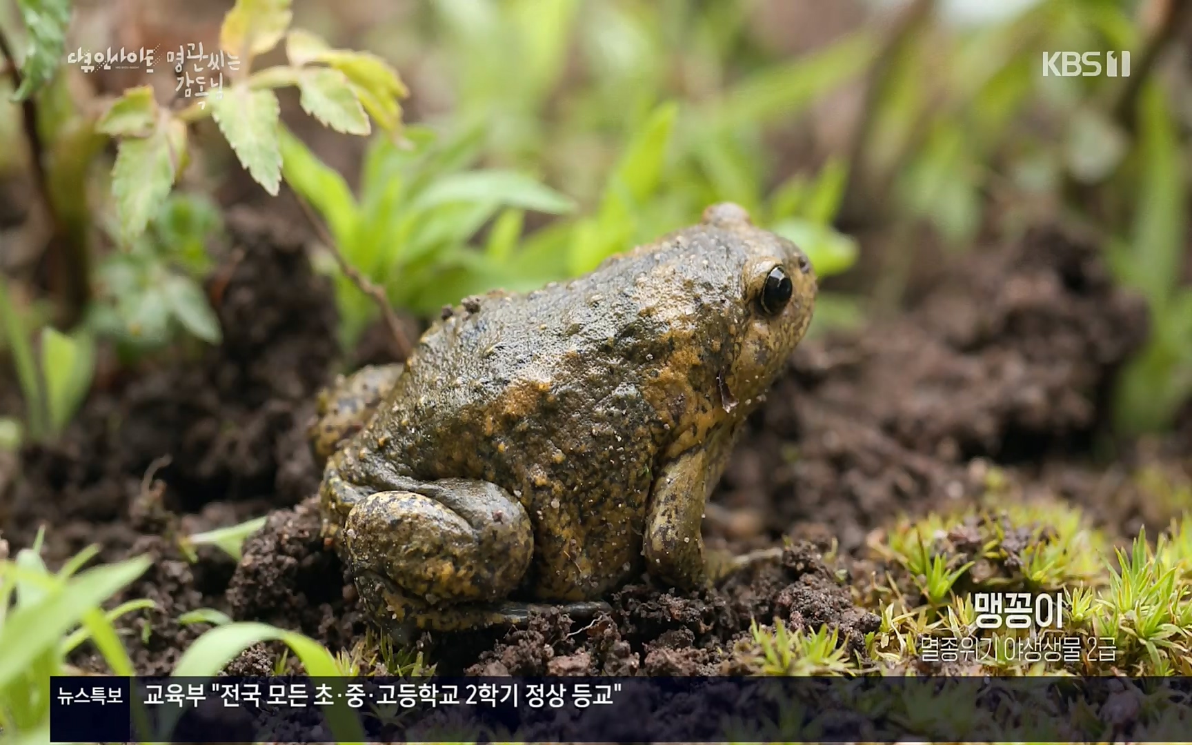 다큐 인사이트.E122.220825p.H264-F1RST.mp4_20220826_152322.149.jpg