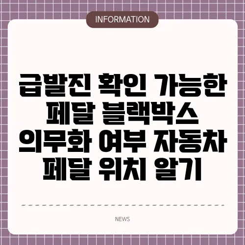 급발진 확인 가능한 페달 블랙박스 의무화 여부 자동차 페달 위치 알기