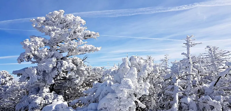 제주 한라산 설경 겨울왕국