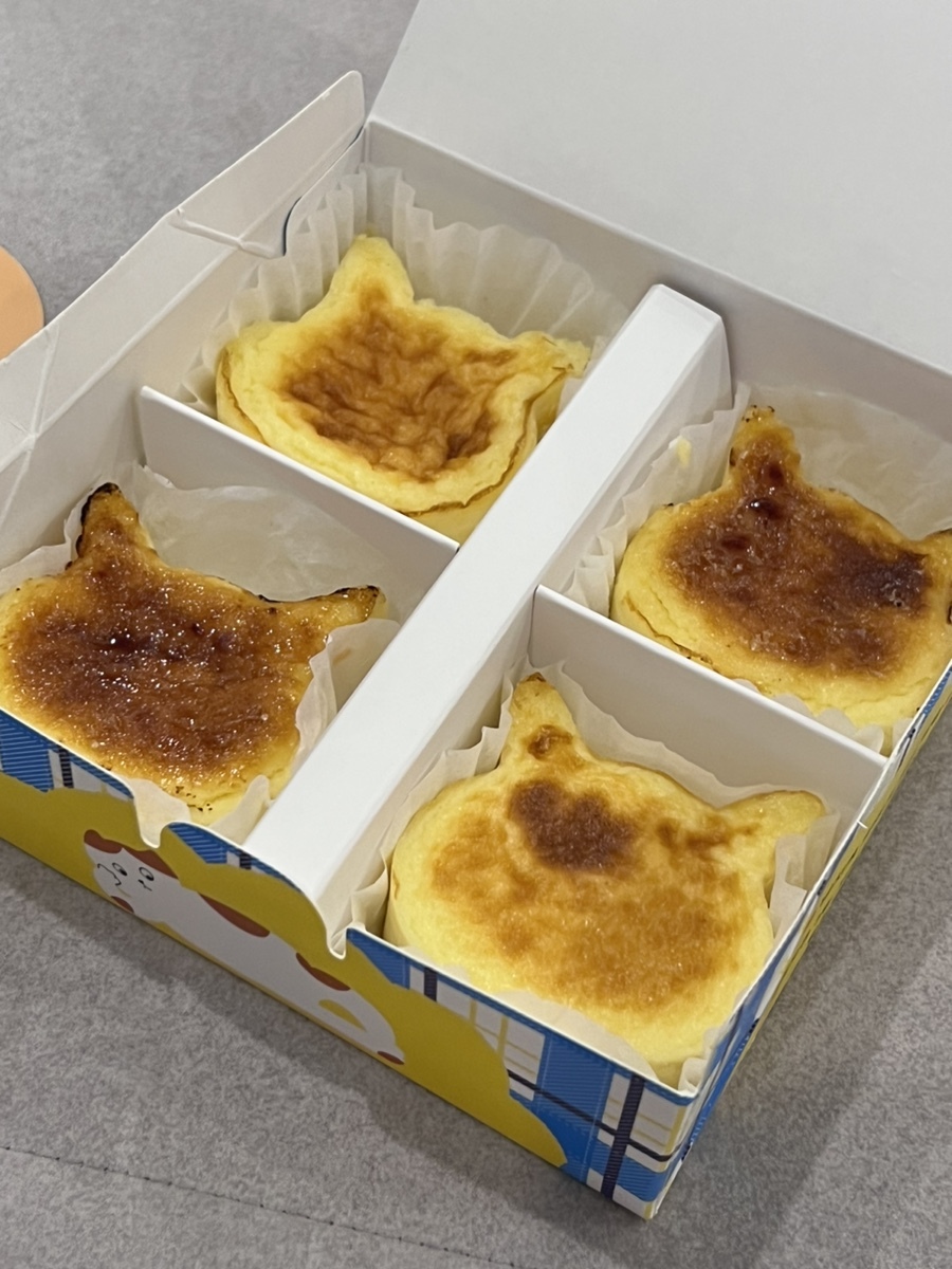 냥치케 여수 이미지