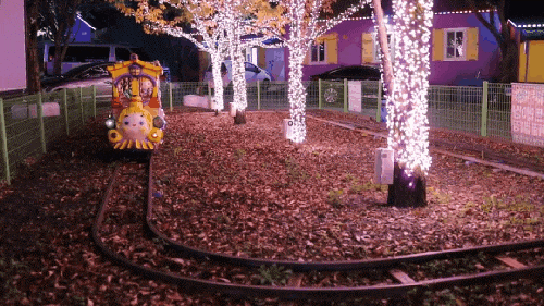 경북 축제 경북 아이와가볼만한곳 청도 11