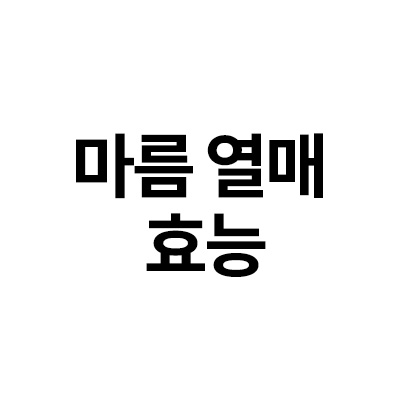 마름 열매 효능