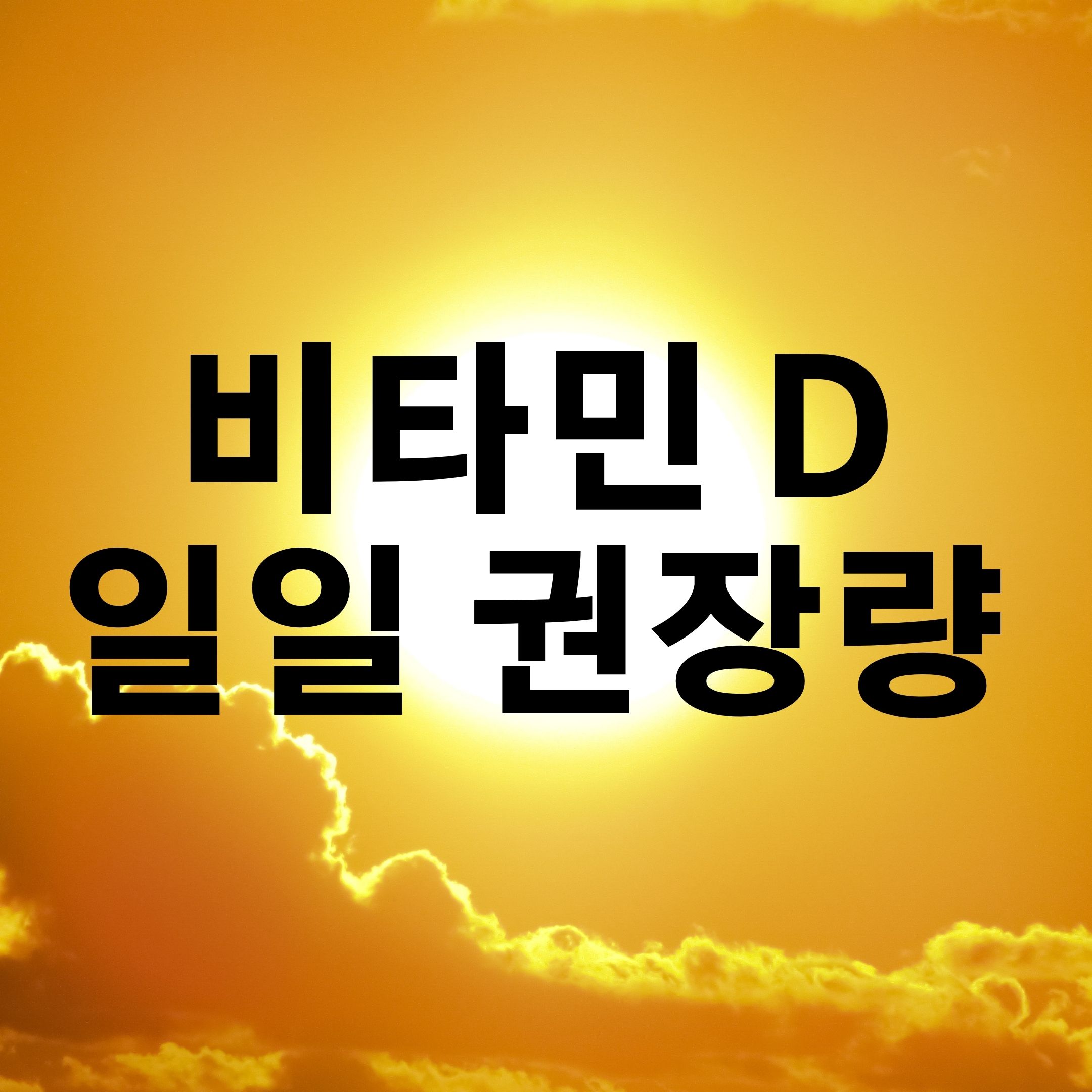  비타민 D 일일 권장량 효능과 풍부한 음식