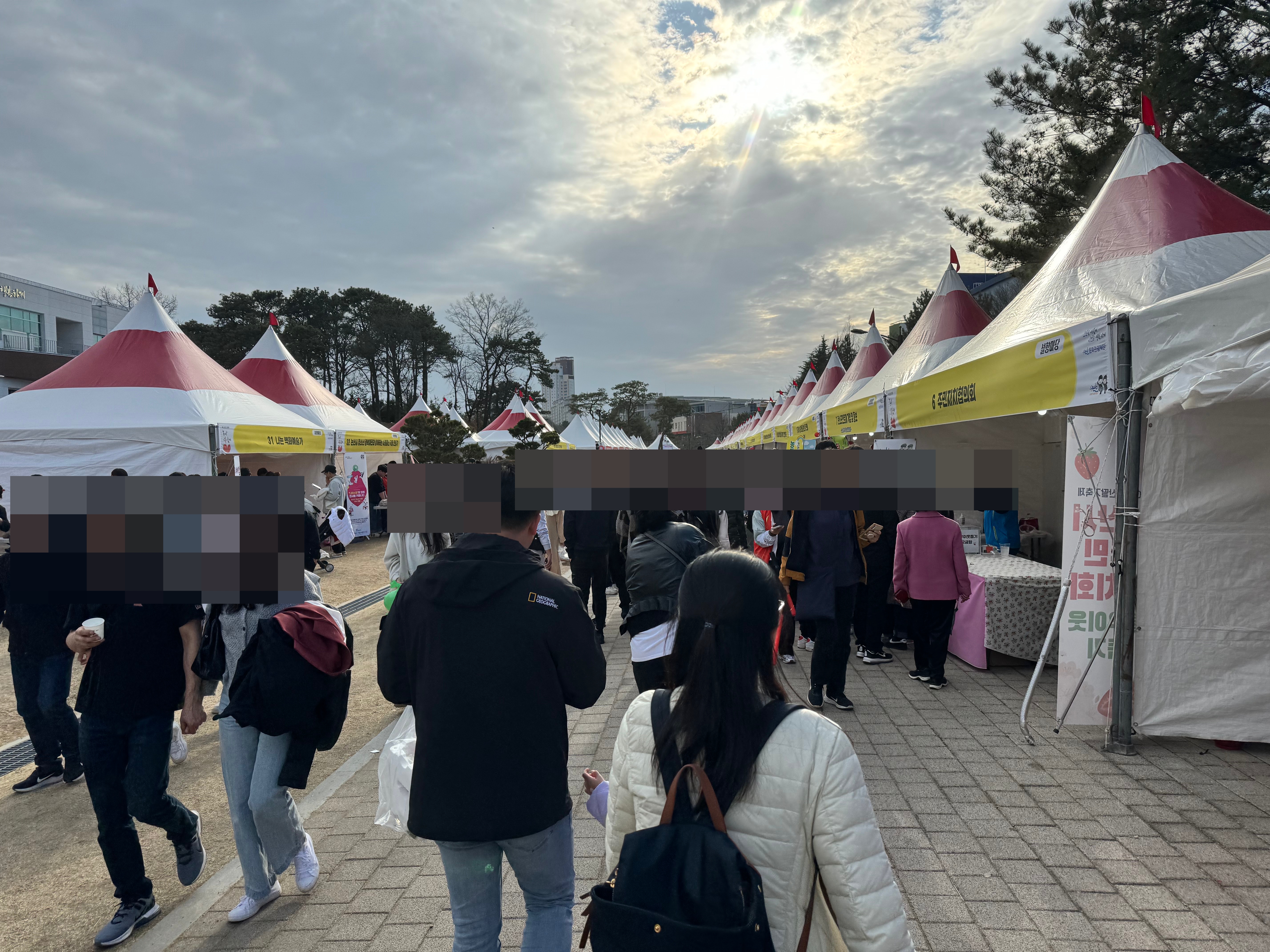 2024 논산 딸기 축제