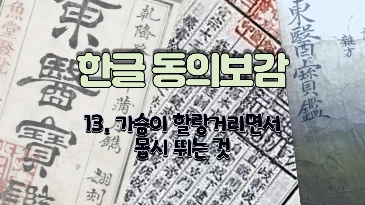  13. 가슴이 할랑거리면서 몹시 뛰는 것 ( 내경편 신 )