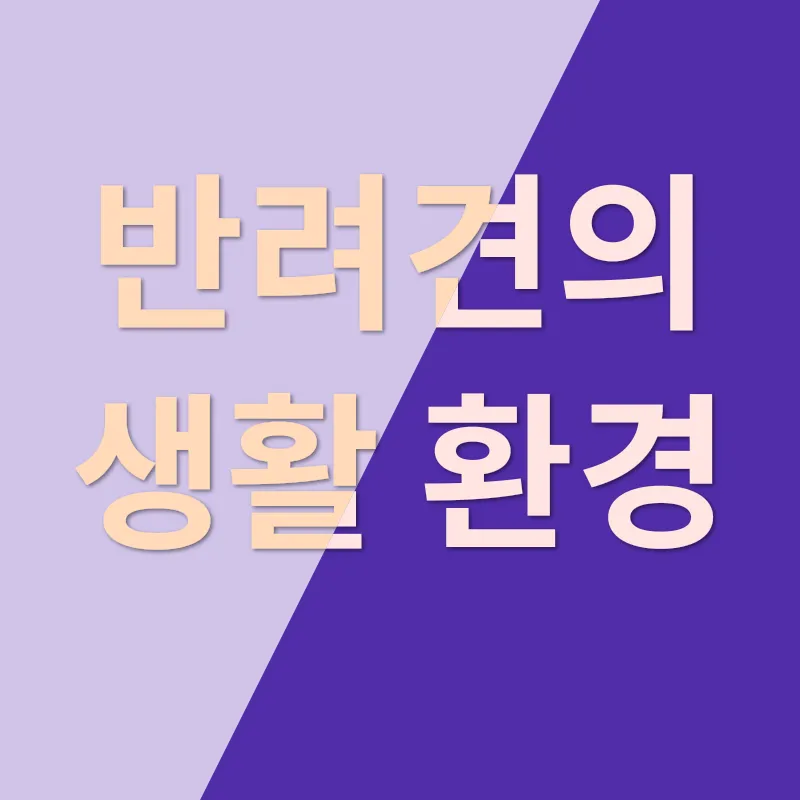 반려견 선택_3
