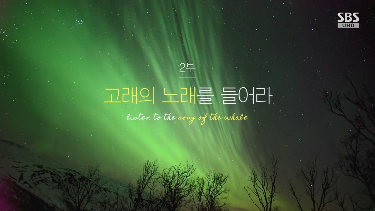 창사특집 다큐멘터리 고래와 나.E02.231126p-NEXT.mp4_20231126_160935.516.jpg