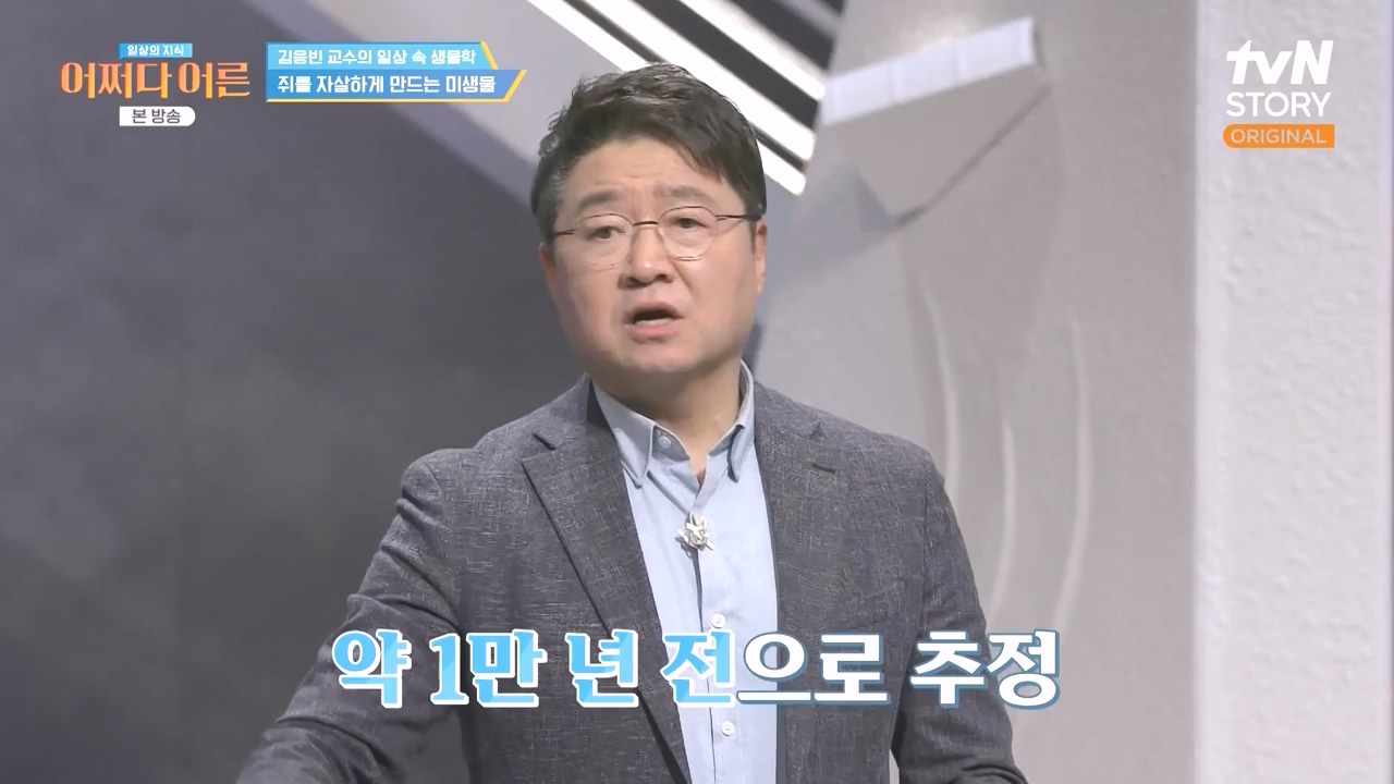 어쩌다 어른.E51.240410p-NEXT.mp4_20240410_180521.844.jpg