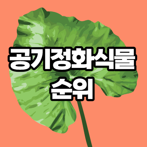  실내 공기정화식물 순위 / NASA 발표 1위~10위