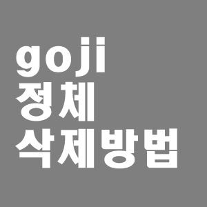  goji.exe 정체와 삭제방법