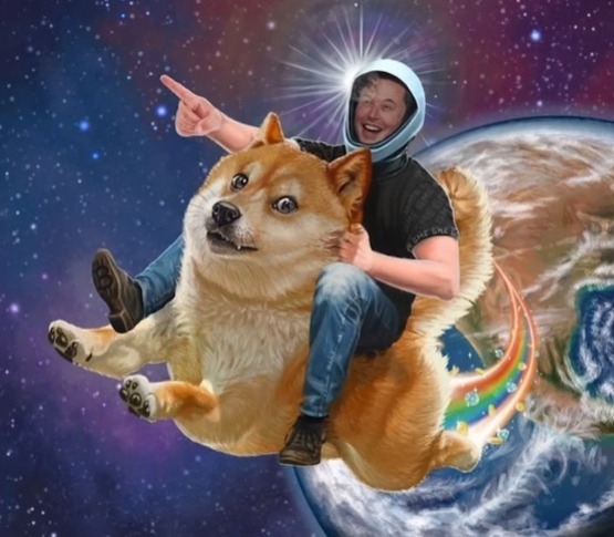 img.jpg