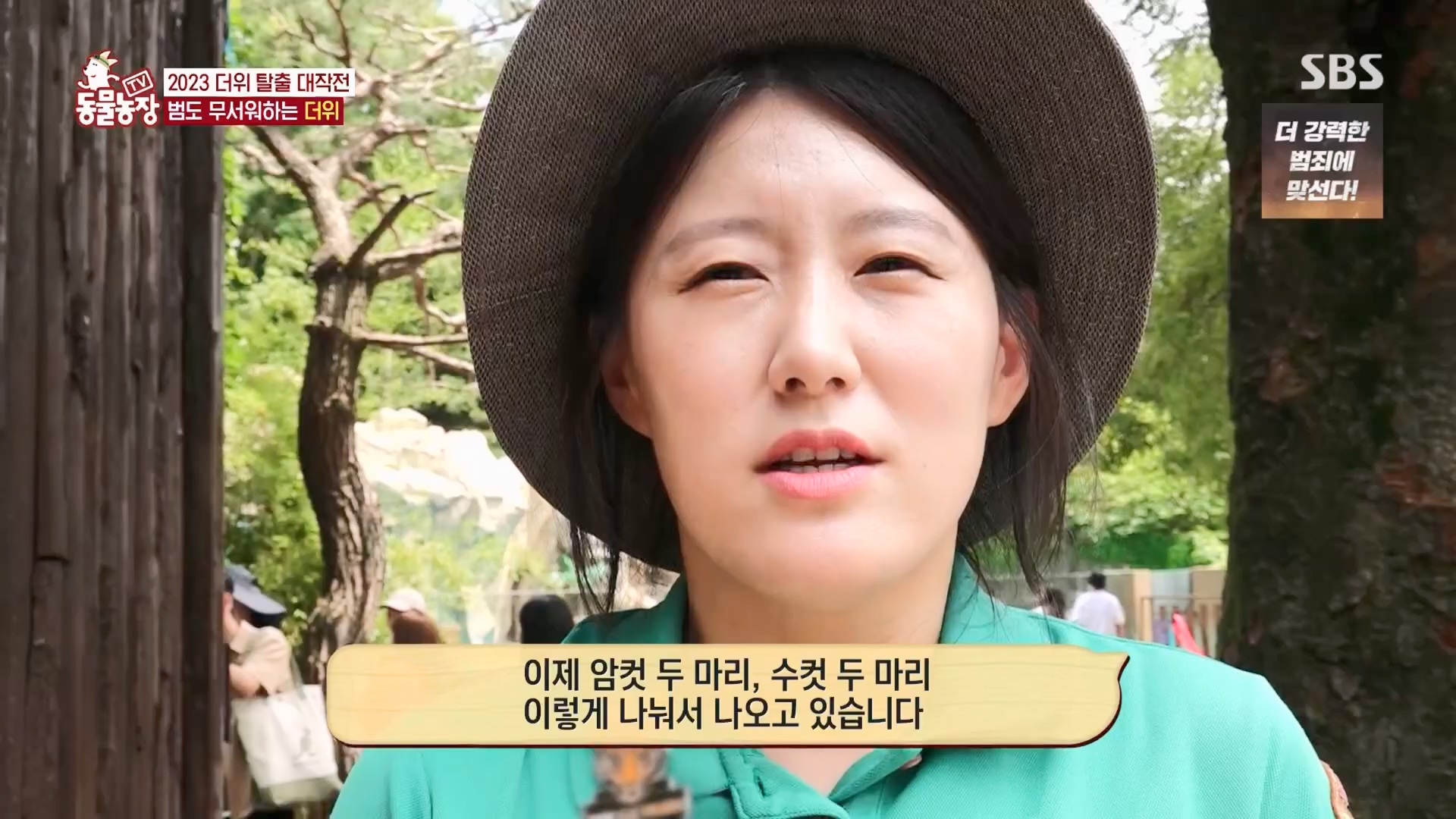 TV 동물농장.E1130.230723p.H264-F1RST.mp4_20230723_171206.932.jpg