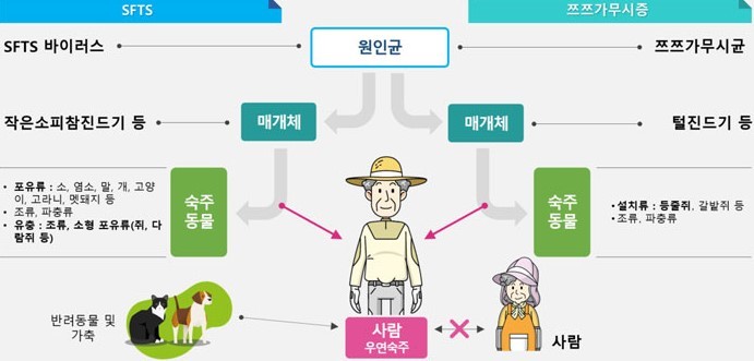 진드기 감염 질병