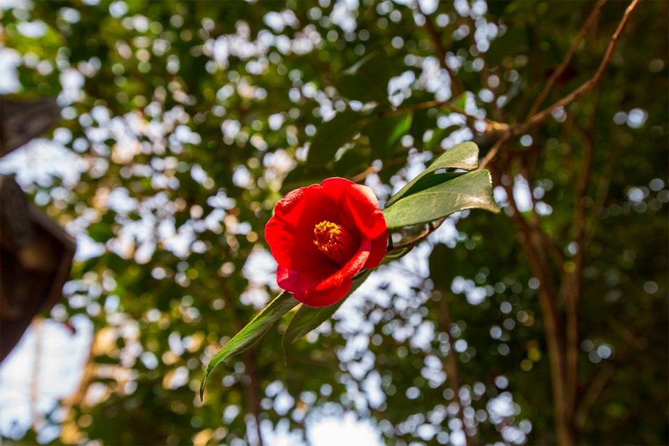 윤스테이 구례 구례 가볼만한곳 윤스테이 10