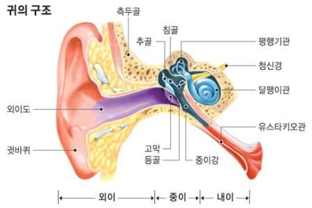 중이염 증상