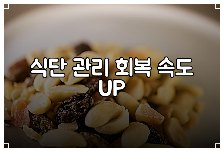 식단 관리 회복 속도 UP