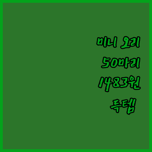 빛나는 미니 오리 50마리 1483원