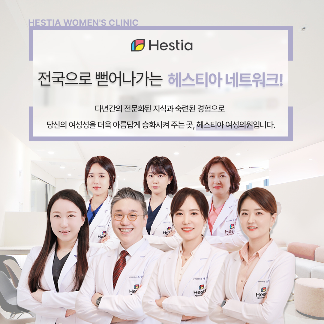 헤스티아 네트워크