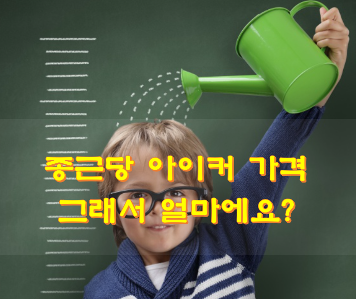  종근당 아이커 가격 최저가