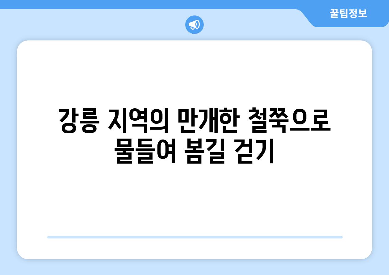 강릉 지역의 만개한 철쭉으로 물들여 봄길 걷기