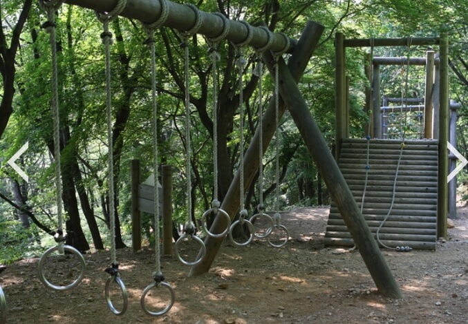 서울대공원 캠핑장