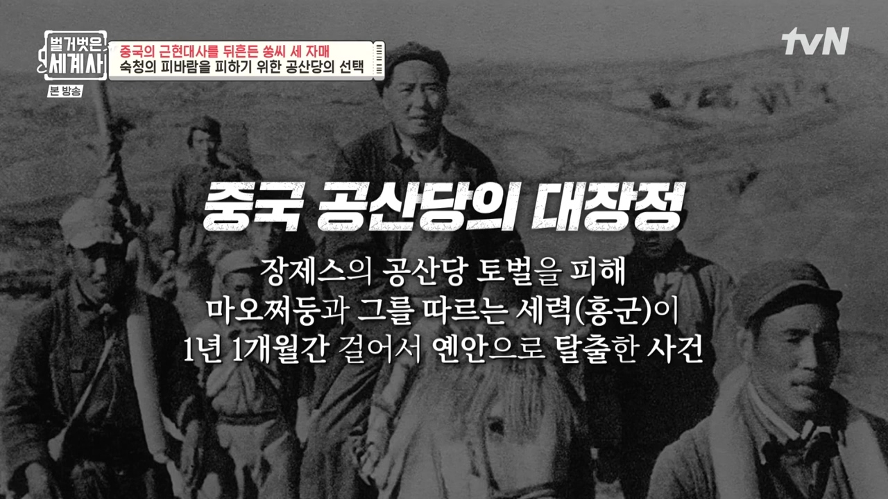 벌거벗은 세계사.E120.231011p-NEXT.mp4_20240513_203311.758.jpg