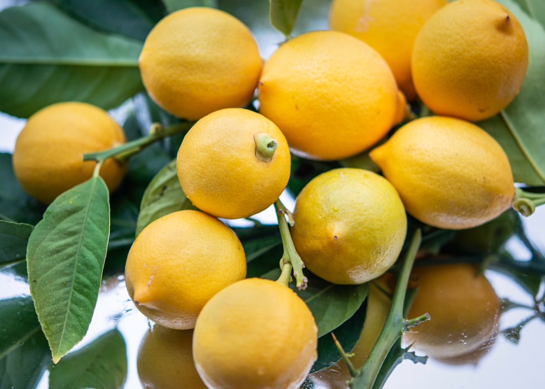 Lemon