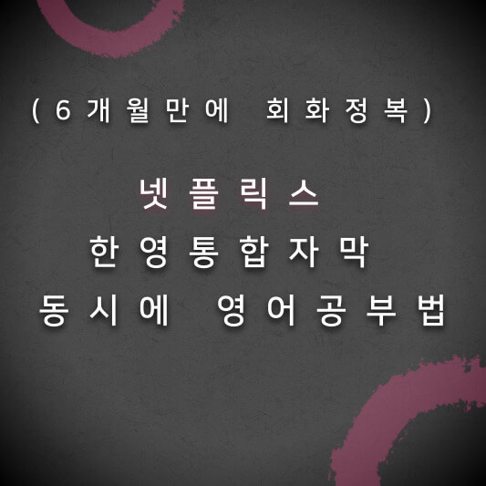  (6개월만에 회화정복) 넷플릭스 한영통합자막 동시에 영어공부법