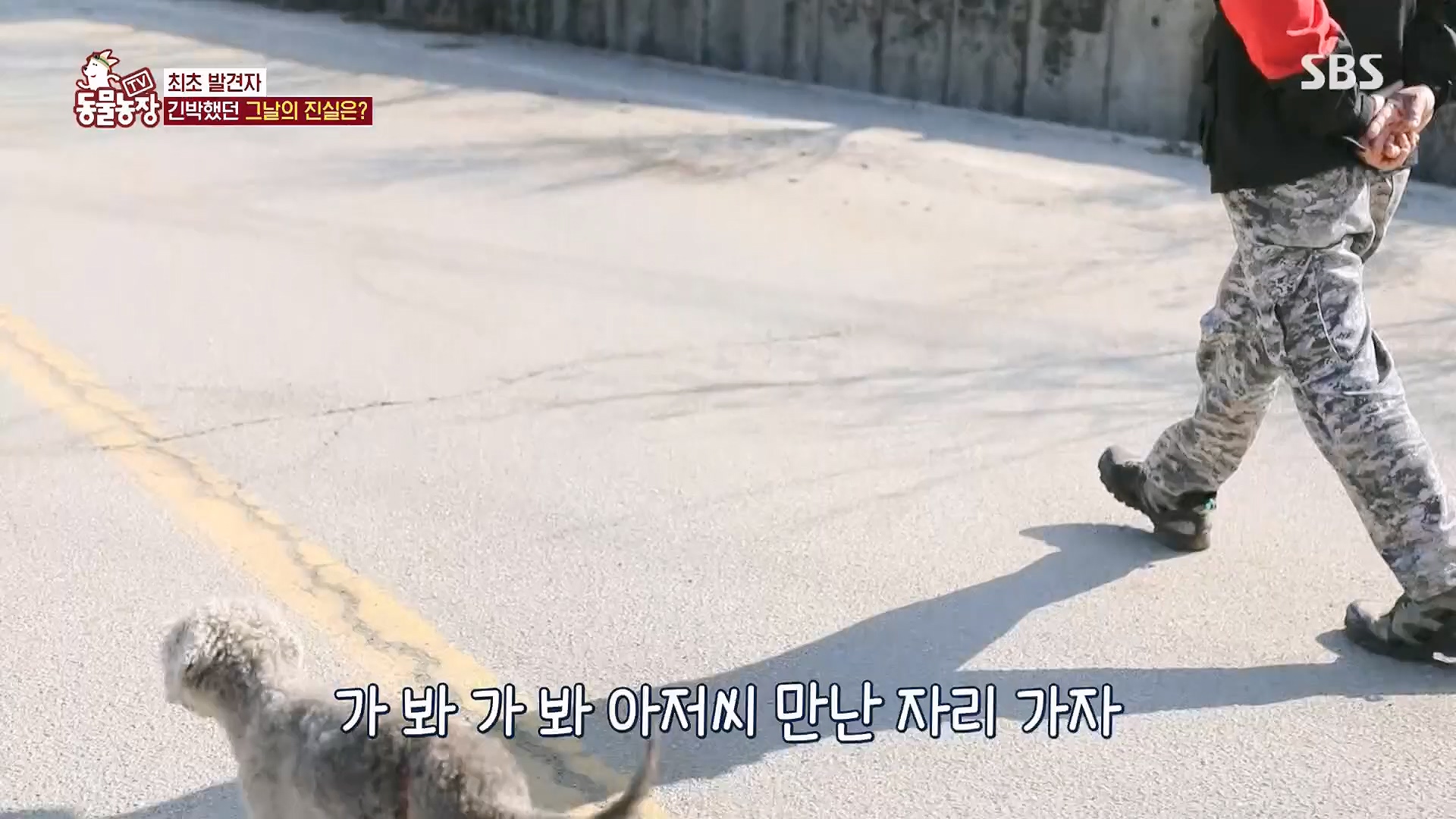 TV 동물농장.E1118.230430p.H264-F1RST.mp4_20230430_172359.737.jpg